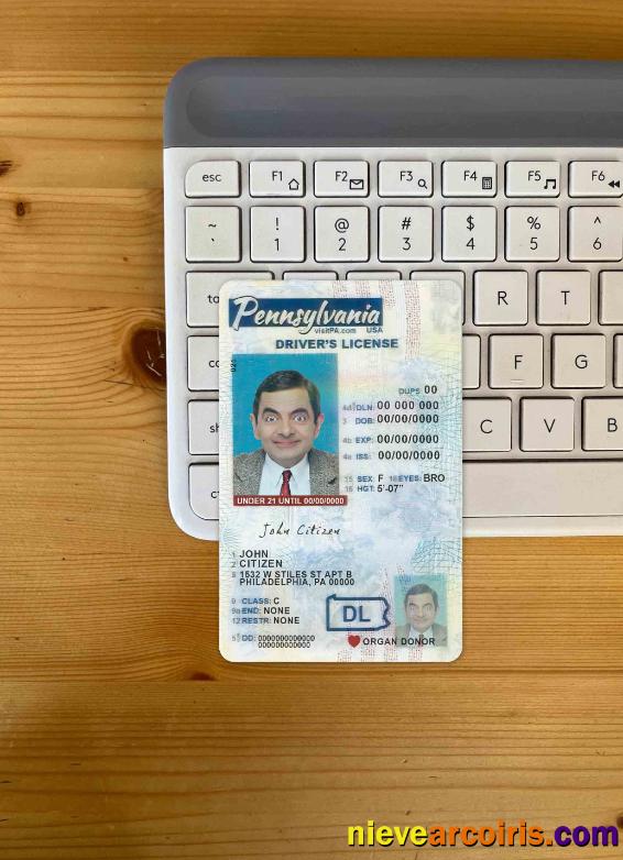 USA Pennsylvania driving license photolook
